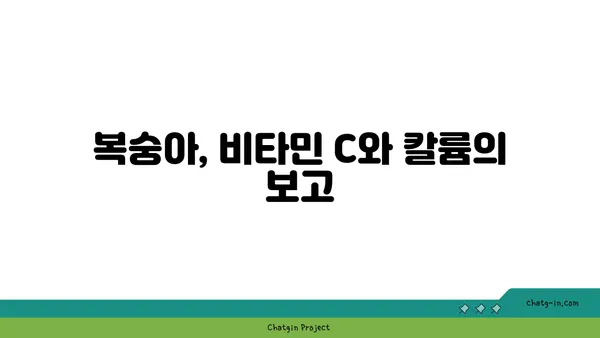 복숭아의 영양학적 힘| 비타민 C와 칼륨의 풍부한 공급원 | 건강, 과일, 영양, 효능, 칼로리