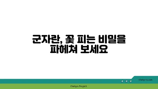 군자란 키우기 완벽 가이드| 꽃 피우는 비법부터 번식까지 | 군자란, 재배, 관리, 번식, 꽃