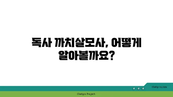 까치살모사, 알아야 할 모든 것 | 까치살모사 정보, 서식지, 특징, 구별법, 응급처치