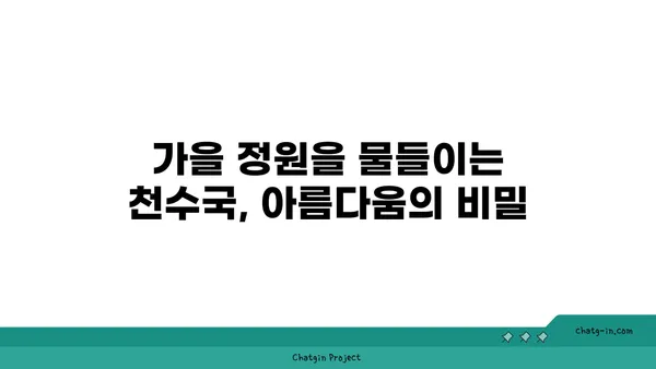 천수국 꽃말, 전설, 재배 방법까지! 아름다움 가득한 천수국 이야기 | 가을꽃, 국화과, 꽃말, 전설, 재배