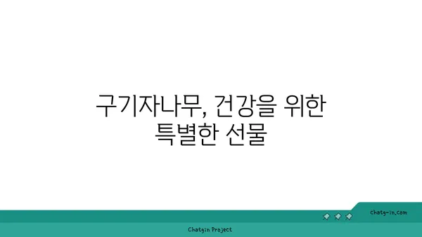 구기자나무 효능과 재배 가이드 | 건강, 약효, 농업, 재배 방법, 구기자