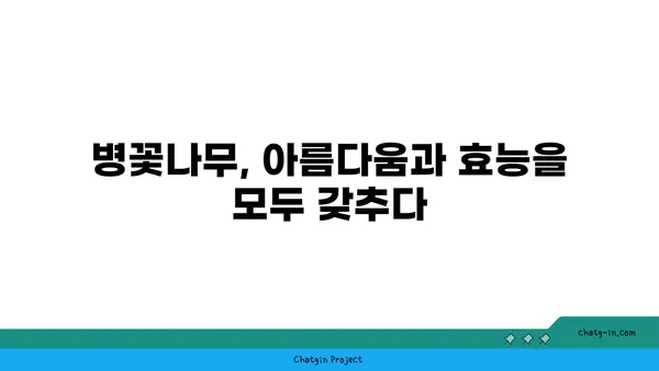 병꽃나무의 매력에 빠지다| 5가지 특징과 효능 | 병꽃나무, 꽃, 나무, 효능, 특징, 관상