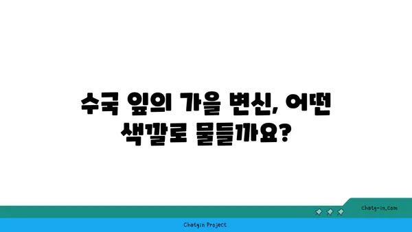 수국 잎의 가을 변신| 아름다운 색깔 변화 감상하기 | 가을, 단풍, 수국 잎, 컬러 변화, 관찰 팁