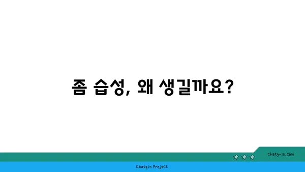 좀 습성| 더러움의 원인과 효과적인 대처법 | 습관 개선, 청결 유지, 깨끗한 생활