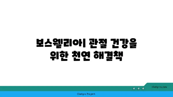 보스웰리아 효능과 부작용 완벽 가이드 | 관절 건강, 염증, 소화, 복용법, 주의사항