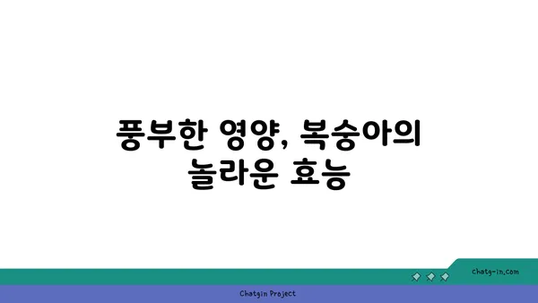 복숭아의 부드러운 매력| 풍부한 섬유소, 비타민, 미네랄 속에 담긴 건강 효능 | 과일, 영양, 건강, 맛