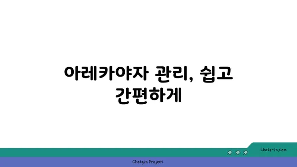 아레카야자 키우기 완벽 가이드 | 실내 인테리어 식물, 공기정화, 관리법, 번식