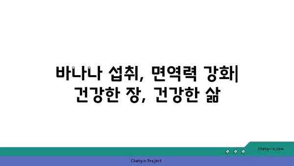 바나나, 식이섬유질 풍부한 이유| 건강한 장을 위한 과학적 근거 | 바나나 효능, 식이섬유, 소화 건강