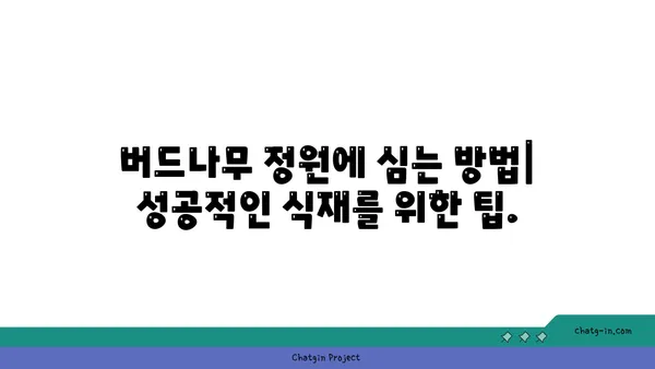 버드나무의 매력|  종류, 특징,  그리고  정원에  심는  방법 | 나무, 조경, 식물, 가드닝