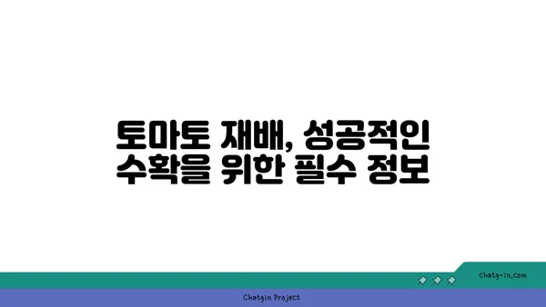 토마토 재배 성공을 위한 완벽 가이드| 씨앗부터 수확까지 | 토마토, 재배, 텃밭, 베란다, 재배방법, 팁