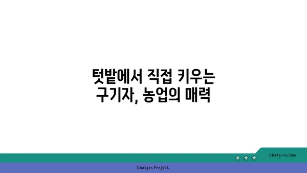 구기자나무 효능과 재배 가이드 | 건강, 약효, 농업, 재배 방법, 구기자