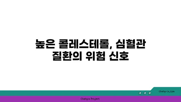 콜레스테롤의 여정| 혈류에서 관동맥까지 | 콜레스테롤, 혈관 건강, 심혈관 질환