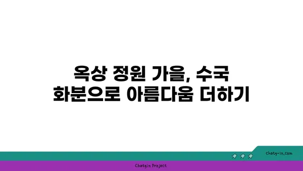 옥상 정원 가을 분위기 연출| 수국 화분 심기 완벽 가이드 | 옥상 정원, 가을, 수국, 화분, 심기, 가이드