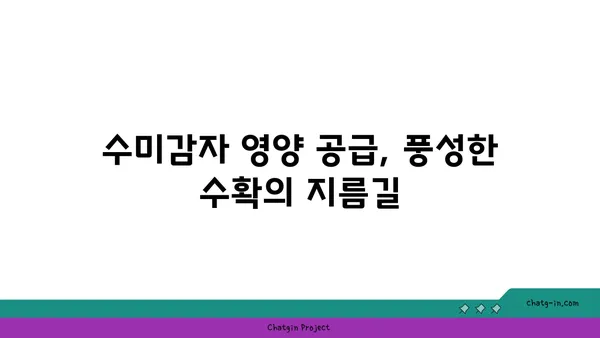 수미감자 최고의 수확을 위한 토양 조건 완벽 가이드 | 수미감자 재배, 토양 관리, 영양 공급