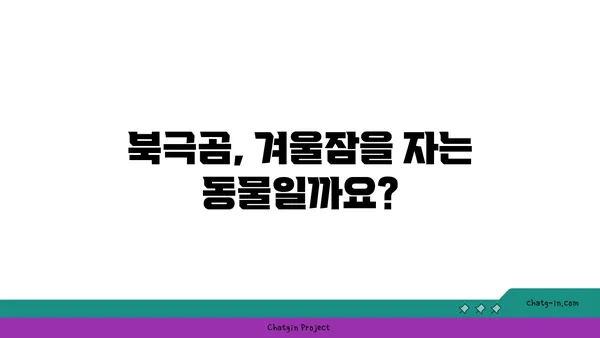 큰곰의 비밀| 북극곰 생존 전략 | 북극곰, 생존, 야생동물, 겨울잠