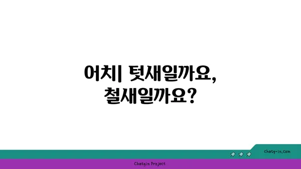 어치의 비밀| 텃새 vs. 철새, 어치는 어디에 살까요? | 어치, 텃새, 철새, 분포, 서식지, 생태