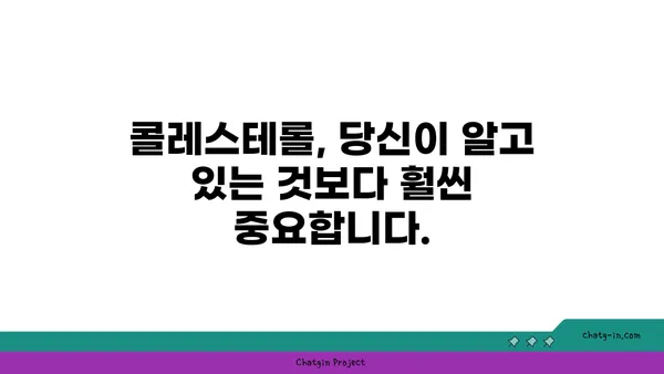 콜레스테롤 신화 폭로| 당신이 몰랐던 진실 | 건강, 영양, 오해 풀기