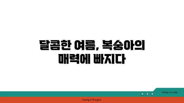 복숭아의 햇볕이 익은 맛| 영양학적 가치와 맛의 조화 | 복숭아 효능, 복숭아 맛있게 먹는 법, 여름 과일