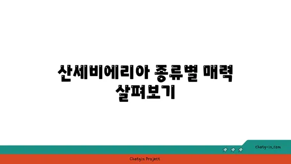 산세비에리아 키우기 완벽 가이드| 종류별 관리법부터 번식까지 | 공기정화식물, 다육식물, 실내식물