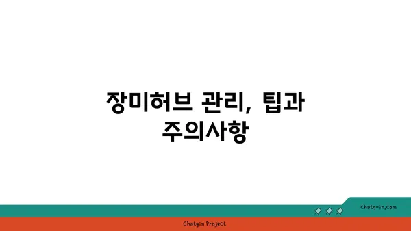 장미허브 키우기 완벽 가이드| 햇빛, 물주기, 번식까지 | 허브, 재배, 관리, 종류