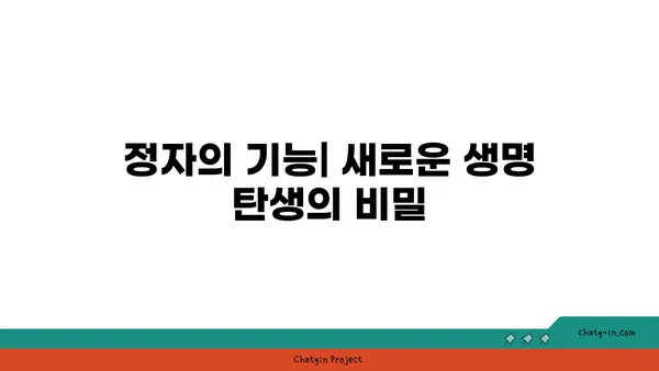 정자의 놀라운 세계| 형성부터 기능까지 | 정자, 생식, 남성 생식, 생식 과정, 정자 형성