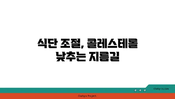 콜레스테롤 싸움| 성공적인 박멸을 위한 3가지 필수 전략 | 건강, 고지혈증, 식단 관리