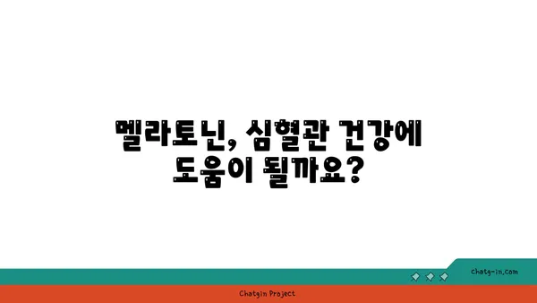 멜라토닌과 심장 건강| 심혈관계 질환 위험 감소 가능성 | 멜라토닌 효능, 심장 건강, 심혈관 질환, 건강 정보