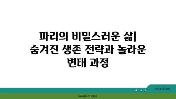 파리목의 비밀| 종류, 특징, 그리고 생태계에서의 역할 | 곤충, 생물학, 파리