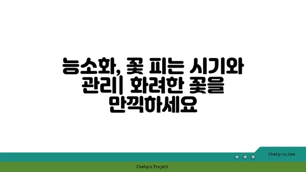 능소화 키우기 완벽 가이드| 심는 법부터 관리법까지 | 능소화, 덩굴식물, 꽃, 원예, 재배