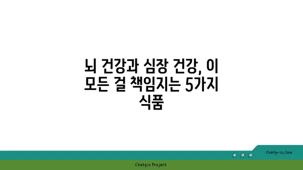 뇌와 심장 건강을 위한 5가지 핵심 식품| 노화 방지 & 인지 향상 | 건강 식단, 뇌 건강, 심장 건강, 노화 방지, 인지 기능 향상