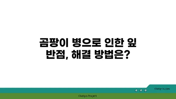 잎에 반점이 생기는 병, 종류별 원인과 해결 방법 | 식물 질병, 병해충, 치료