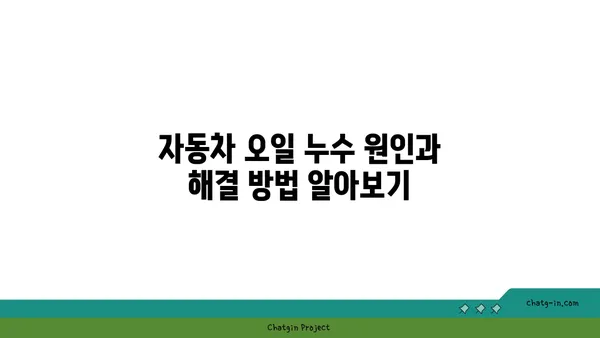 자동차 오일 누수 초기 징후| 빠르게 점검하고 문제 해결하기 | 오일 누수, 자동차 점검, 정비 팁