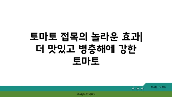 토마토 접목| 맛있는 과일과 저항력 향상을 위한 기술 | 토마토 재배, 접목 방법, 농업 기술