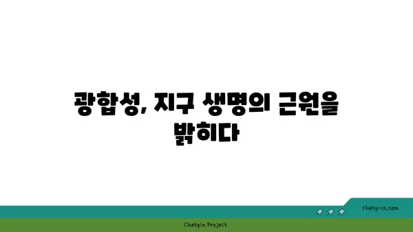 광합성의 비밀| 빛 에너지를 생명 에너지로 바꾸는 놀라운 과정 | 식물, 엽록소, 탄수화물, 산소