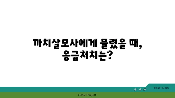 까치살모사, 알아야 할 모든 것 | 까치살모사 정보, 서식지, 특징, 구별법, 응급처치