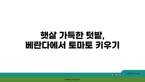 토마토 재배 성공을 위한 완벽 가이드| 씨앗부터 수확까지 | 토마토, 재배, 텃밭, 베란다, 재배방법, 팁