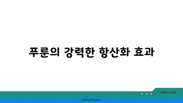 푸룬의 놀라운 효능 7가지 | 변비 해소, 뼈 건강, 항산화 효과