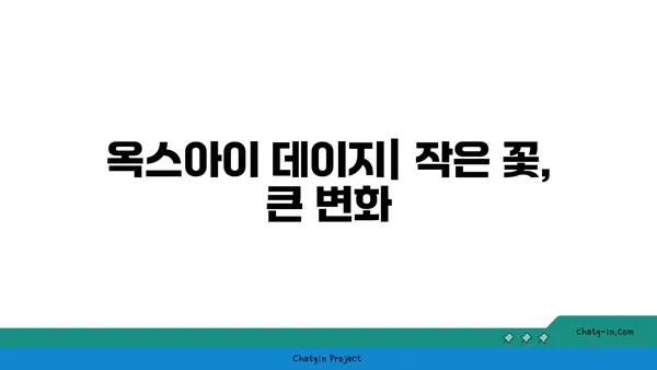 옥스아이 데이지| 환경을 위한 작은 영웅 | 생태계, 토양 개선, 꿀벌 유치