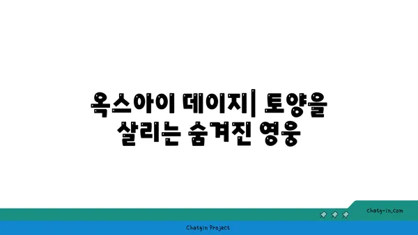 옥스아이 데이지| 환경을 위한 작은 영웅 | 생태계, 토양 개선, 꿀벌 유치