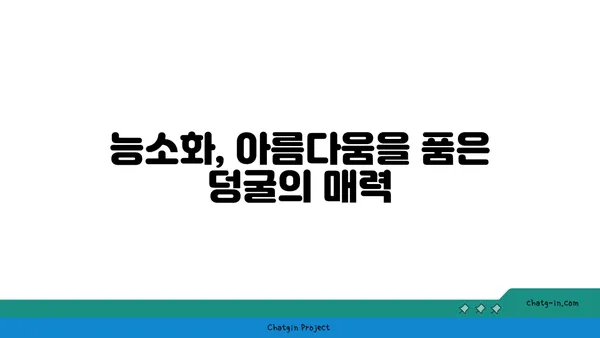 능소화 키우기 완벽 가이드| 심는 법부터 관리법까지 | 능소화, 덩굴식물, 꽃, 원예, 재배