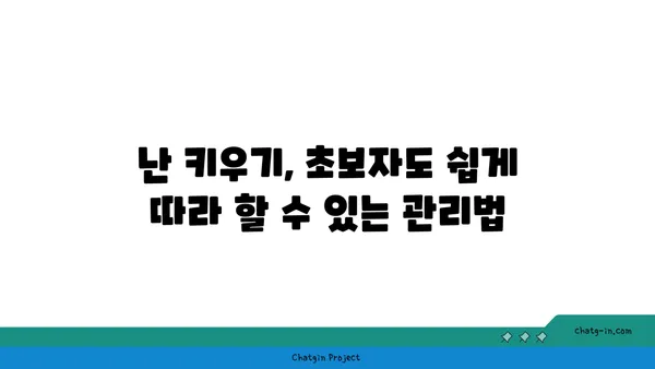 동양란의 매력에 빠지다| 종류별 특징과 관리법 완벽 가이드 | 동양란, 난초, 난 종류, 난 키우기, 난 관리