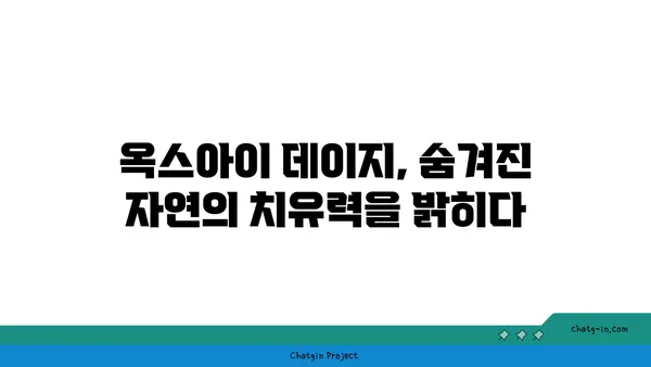 옥스아이 데이지의 놀라운 힘| 자연 치유의 비밀 | 옥스아이 데이지, 천연 치료, 건강, 허브