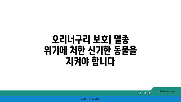 오리너구리| 신기한 동물의 모든 것 | 오리너구리, 독특한 특징, 서식지, 생태, 보호