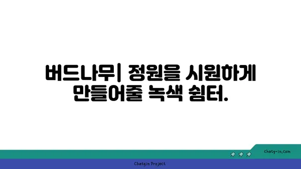 버드나무의 매력|  종류, 특징,  그리고  정원에  심는  방법 | 나무, 조경, 식물, 가드닝