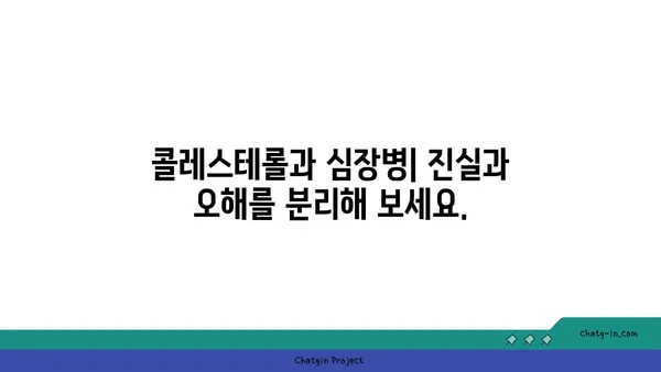 콜레스테롤 신화 폭로| 당신이 몰랐던 진실 | 건강, 영양, 오해 풀기