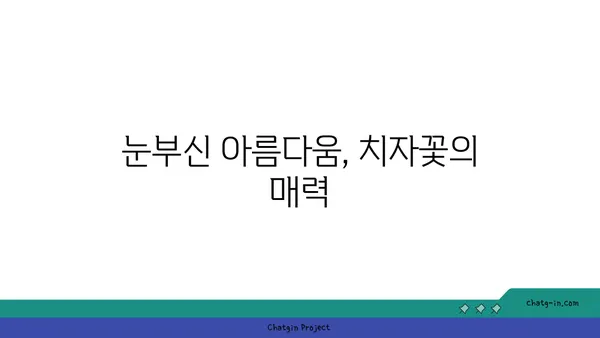 치자나무의 매력에 빠지다| 꽃, 열매, 효능, 재배까지 완벽 가이드 | 치자, 꽃차, 약용식물, 정원, 가꾸기