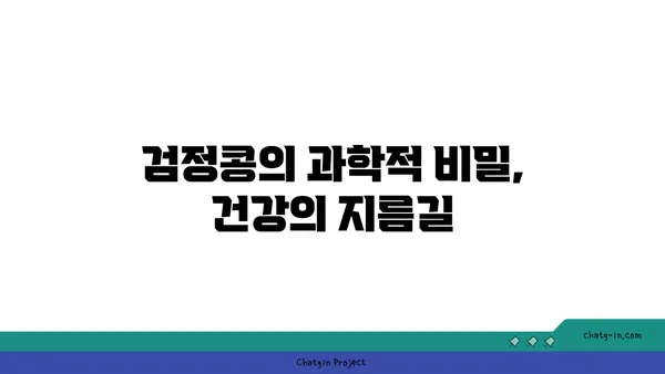 검정콩의 과학적 비밀| 질병 예방의 강력한 파워 | 건강, 영양, 항산화, 콩, 효능