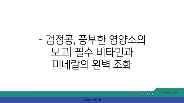 검정콩의 놀라운 영양 가치| 과학이 입증한 필수 비타민 & 미네랄 | 건강 식단, 콩의 효능, 영양 정보