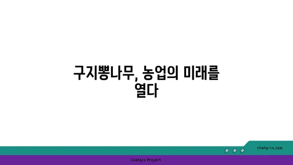 구지뽕나무 효능과 재배 | 건강, 뽕나무, 약용, 묘목, 농업