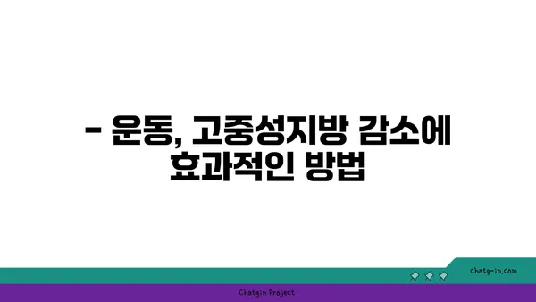 고중성지방혈증, 건강한 습관으로 이겨내세요! | 고지혈증 관리, 식단, 운동, 건강 정보